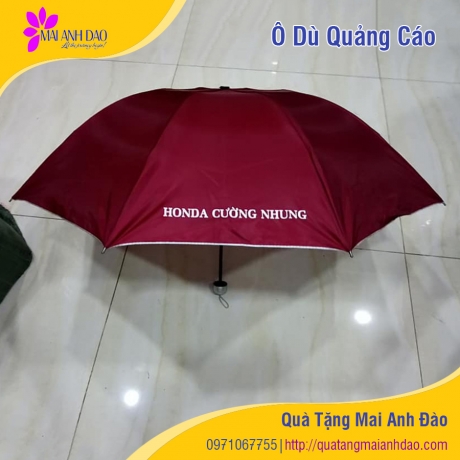 o-du-quang-cao-qua-tang-mai-anh-dao-2