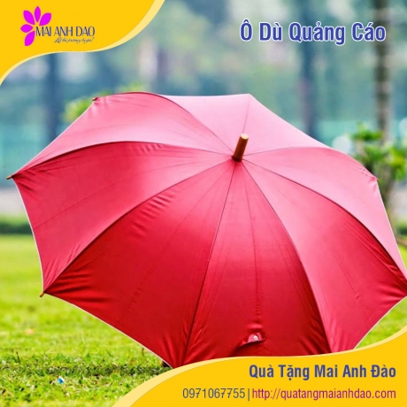 o-du-quang-cao-qua-tang-mai-anh-dao-7